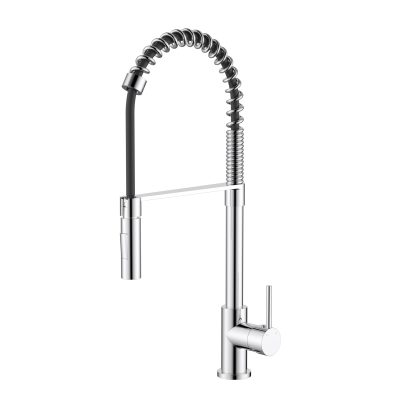Kasper Spring Multi-Function Kitchen Mixer