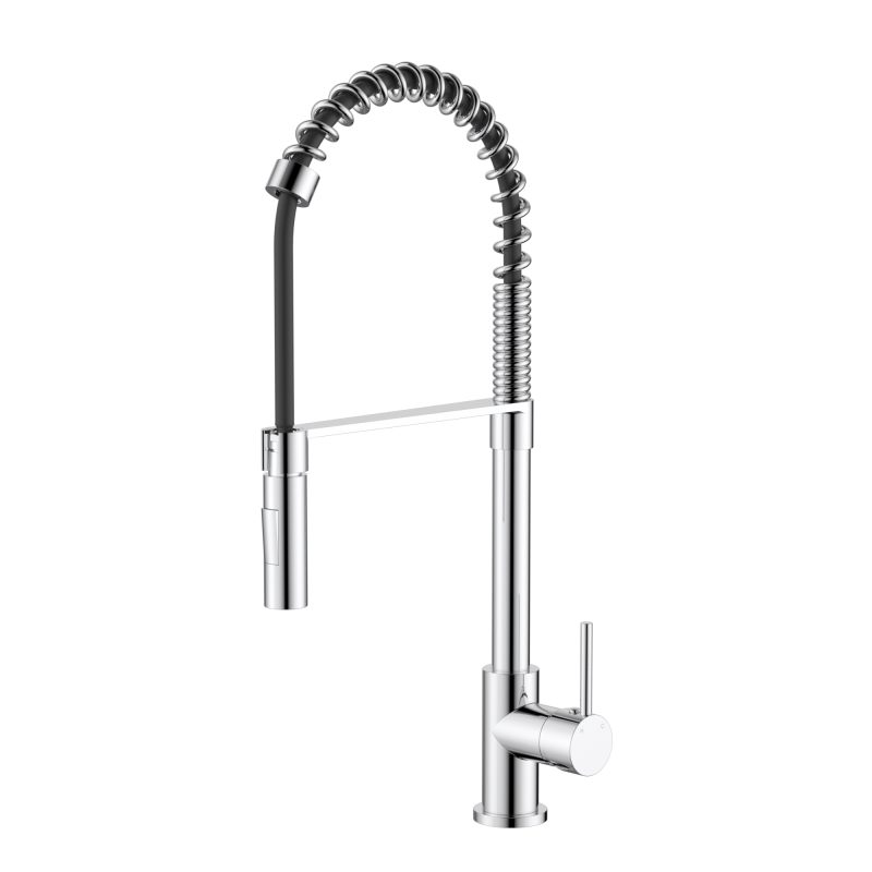 Kasper Spring Multi-Function Kitchen Mixer